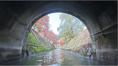 今週のうた日記