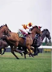 おけら街道の予想屋