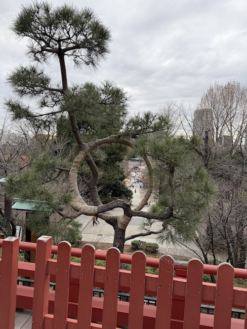 [ありがた山] 新年会