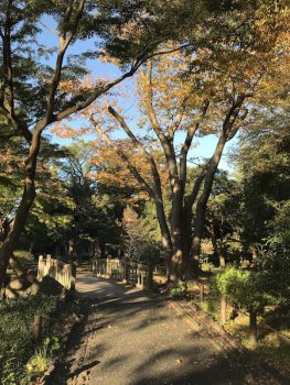久しぶりの講座参加　日比谷図書文化館