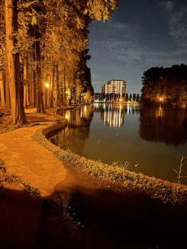 夜の別所沼公園